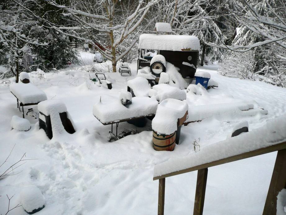 snow