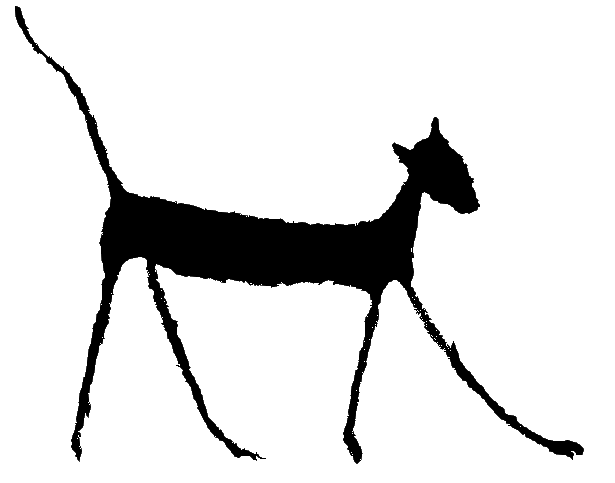 catsh